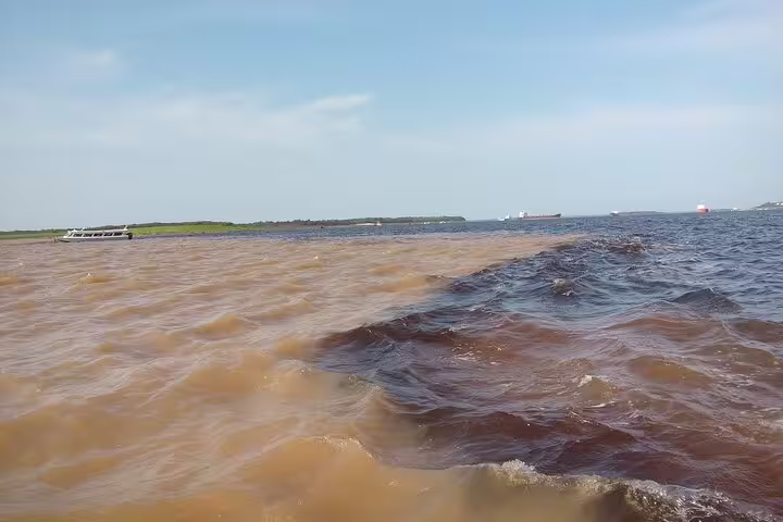 Stunning confluence of brown and black waters at the Meeting of Waters in the Amazon, a highlight of the jungle tour.