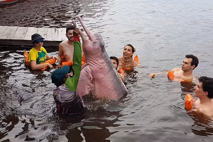 Tourists swim with Amazon pink river dolphin near Manaus on Indian Village and Meeting of the Waters tour