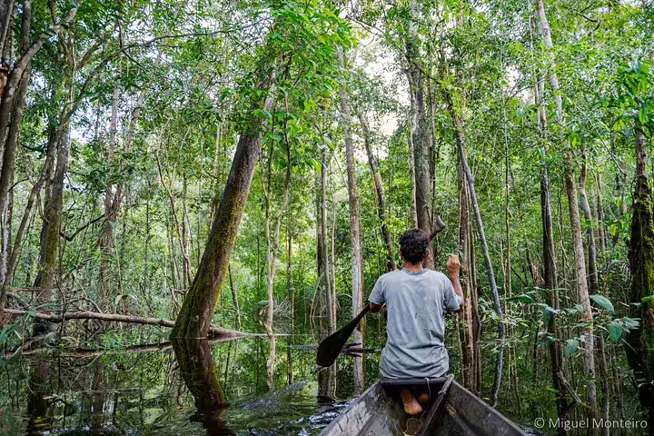 Solo traveler paddling a canoe through the serene waters of the Amazon rainforest at Amanã Lake.