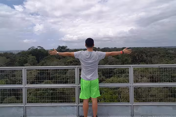 Visitor on an observation deck overlooking the Amazon rainforest, included in the INPA and MUSA Natural Museums Combo