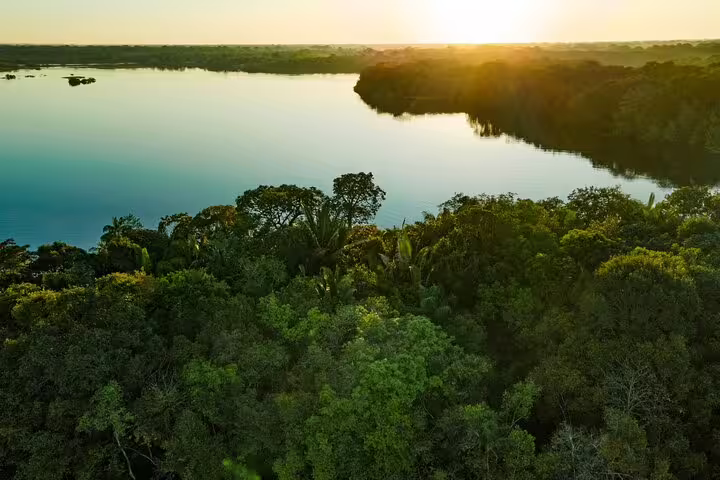 Lush Amazon rainforest canopy meets a serene river at sunrise, perfect for an Amazon Survival Tour adventure.