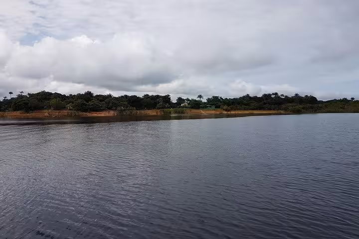 Wide Amazon river view with rainforest shoreline, perfect scenery on a 4 days Amazon jungle adventure tour