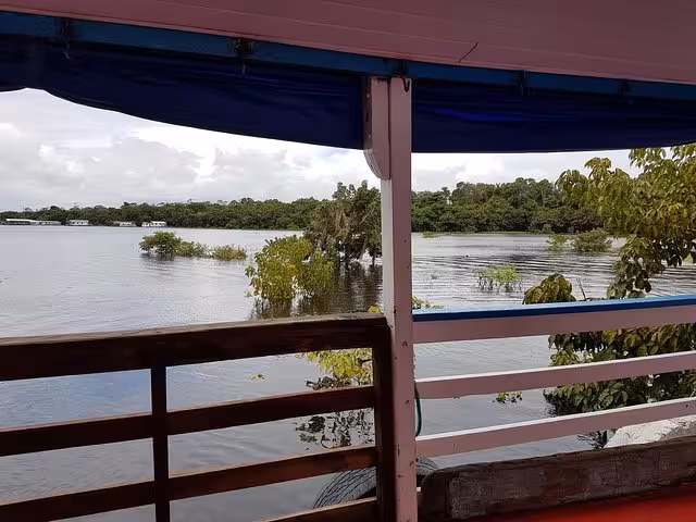 View of flooded rainforest from Amazon riverboat deck near Manaus, scenic Amazon River boat adventure tour