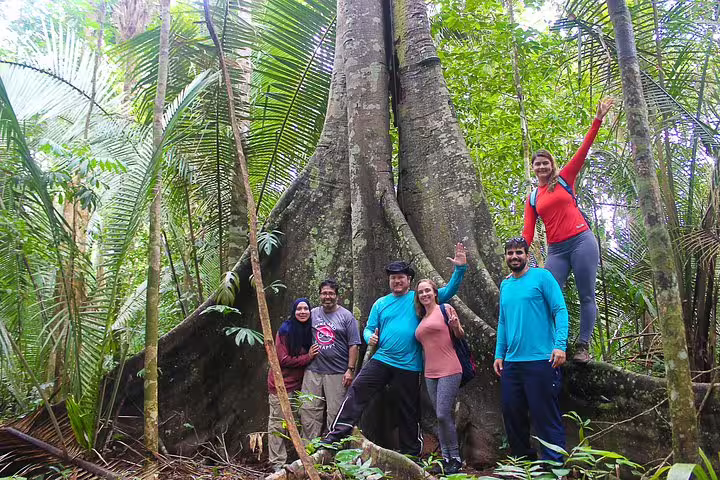 Group of adventurers poses beside a massive tree in the lush Amazon rainforest during a survival tour.