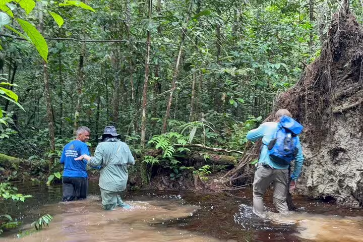Adventurers wading through Amazonian river during deep survival trek near Amanã Lake.