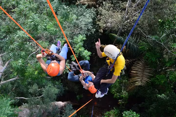 Top-down view of Amazon tree climbing with guide and guests on ropes and harnesses above dense rainforest canopy