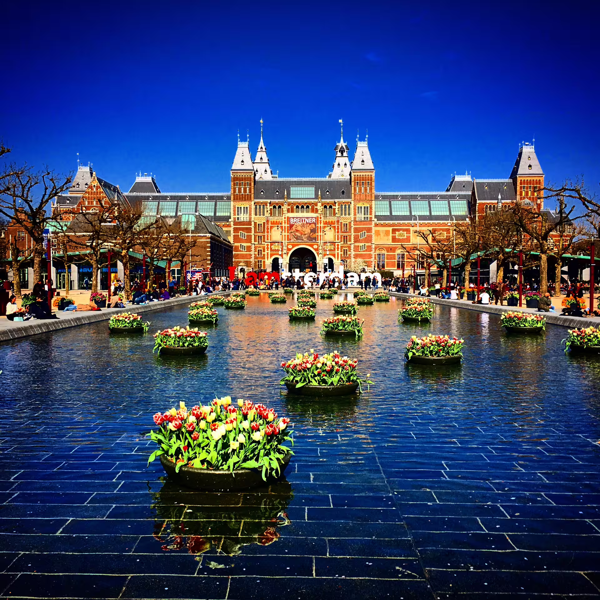 Explore Amsterdam's vibrant culture with a bike rental, featuring scenic views of tulip gardens and iconic architecture.