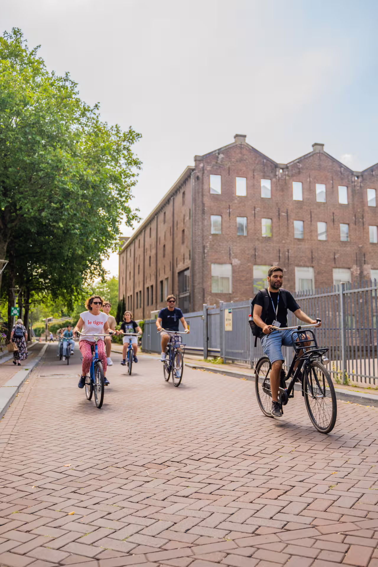 Cyclists enjoy a scenic ride through Amsterdam's historic streets, perfect for a bike tour with a canal cruise experience.