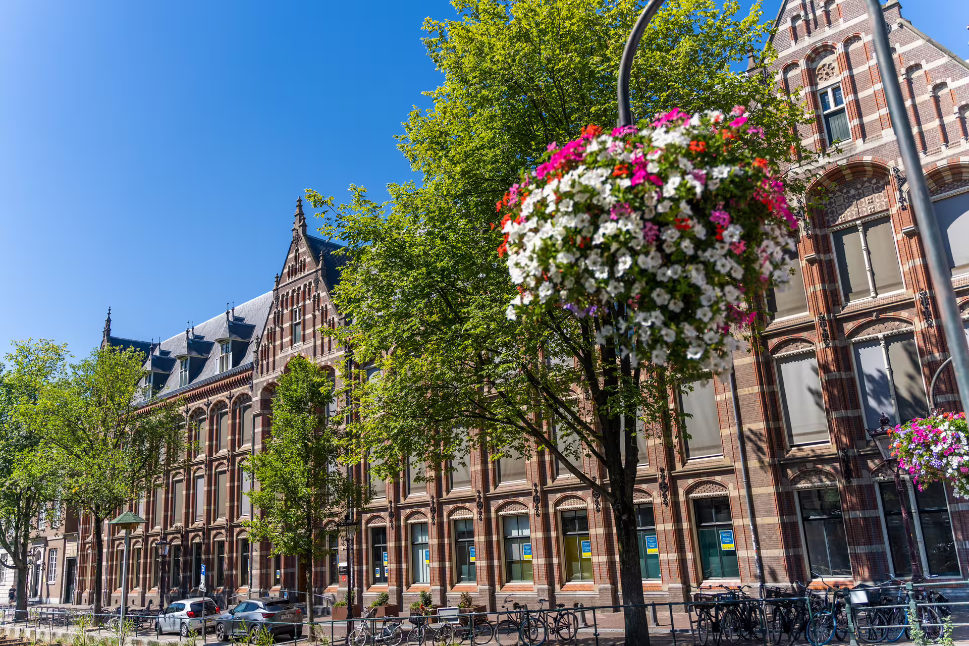 Historic Amsterdam architecture with blooming flowers and bicycles on a sunny day, perfect for walking tours and canal cruises.