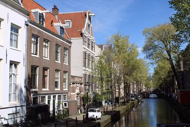 Amsterdam canal houses and tree-lined waterway, ideal for a private city walking tour with a local guide