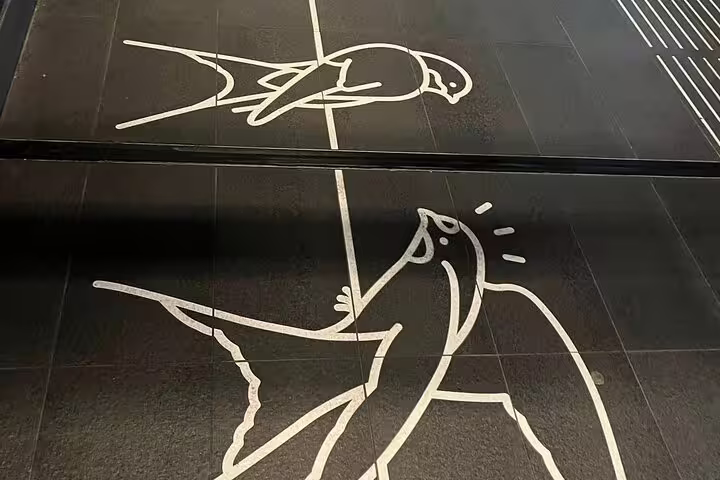 Minimalist line-art birds painted on Amsterdam metro tiles, a stop on Your Own Amsterdam: The Art Underground tour