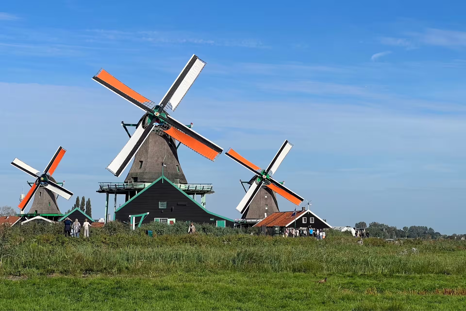 Traditional windmills at Zaanse Schans near Amsterdam, scenic stop on Giethoorn day trip with canal cruise