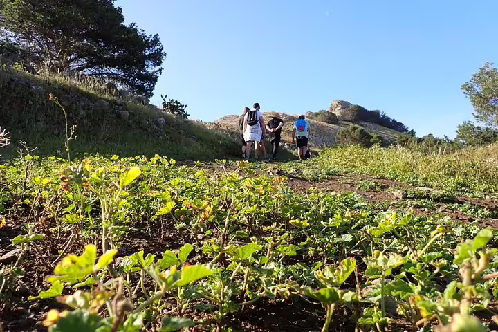 Hikers explore lush trails under a clear blue sky on the Ana Ferreira Caves & Peaks Trek, surrounded by vibrant greenery.