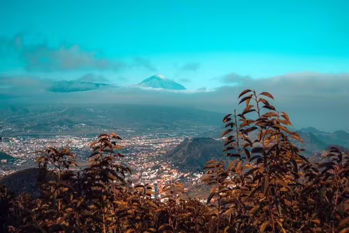 Panoramic view of Teide Volcano over a vibrant Tenerife town, framed by lush foliage and blue skies.