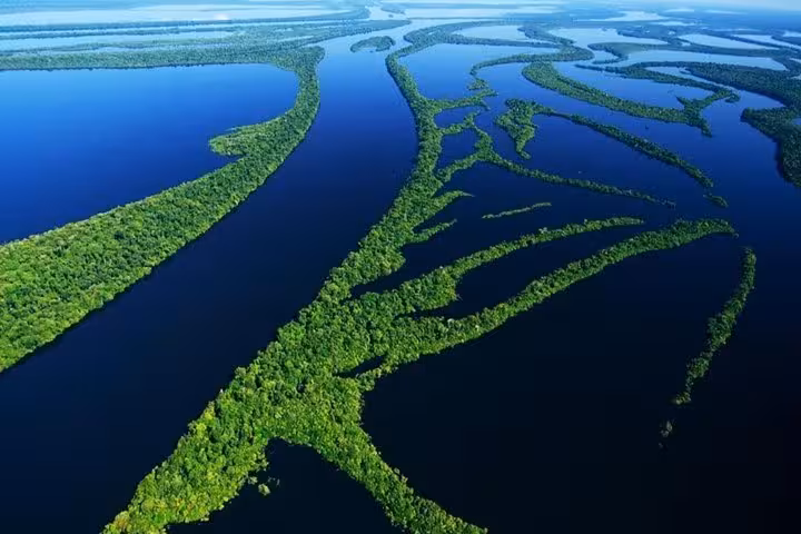 Aerial view of Anavilhanas Archipelago waterways and rainforest, highlight of 8-hour Amazonas jungle trek tour