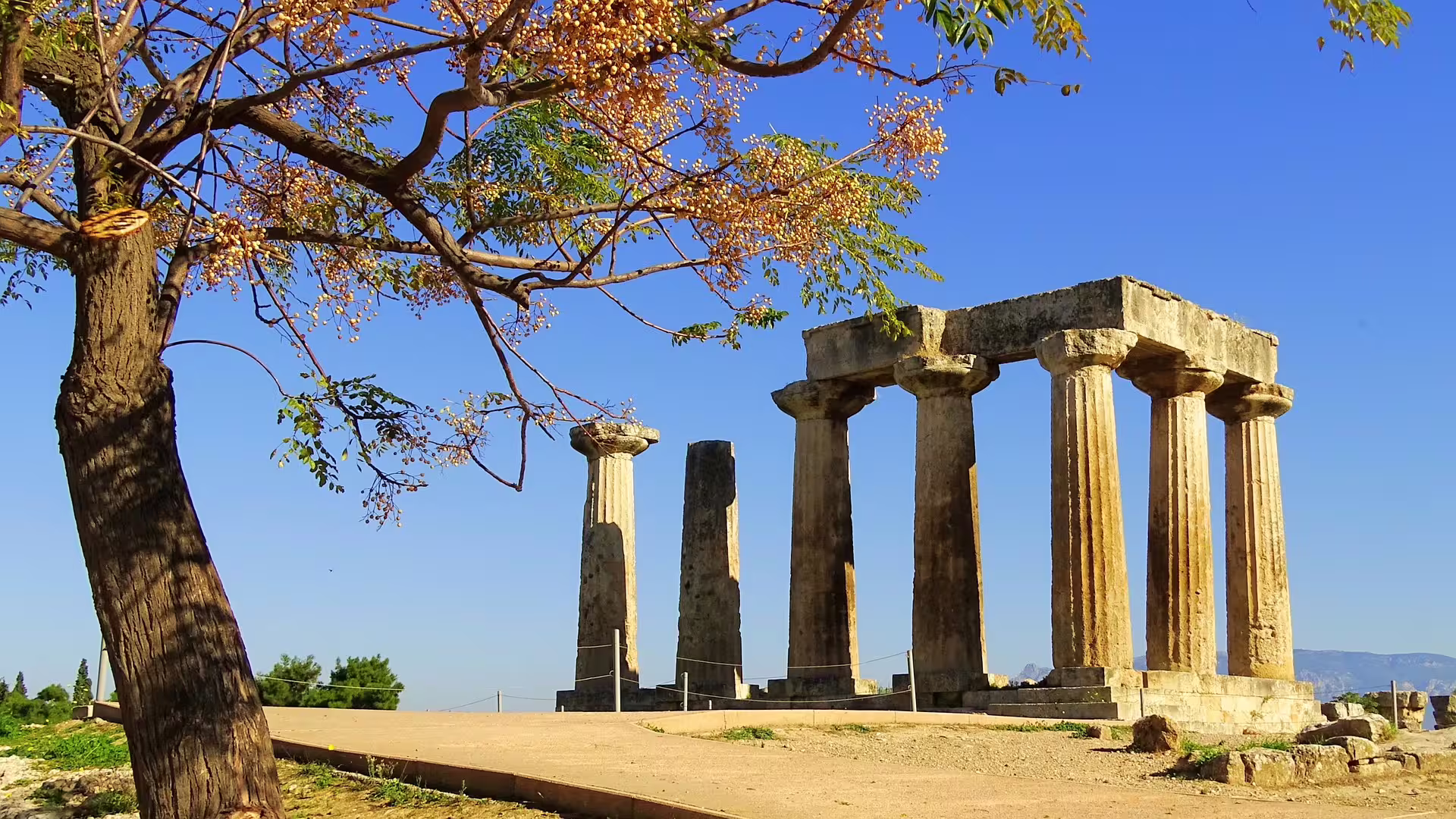 Ancient Corinth Temple of Apollo ruins framed by tree, featured on private Epidaurus Corinth tour from Athens