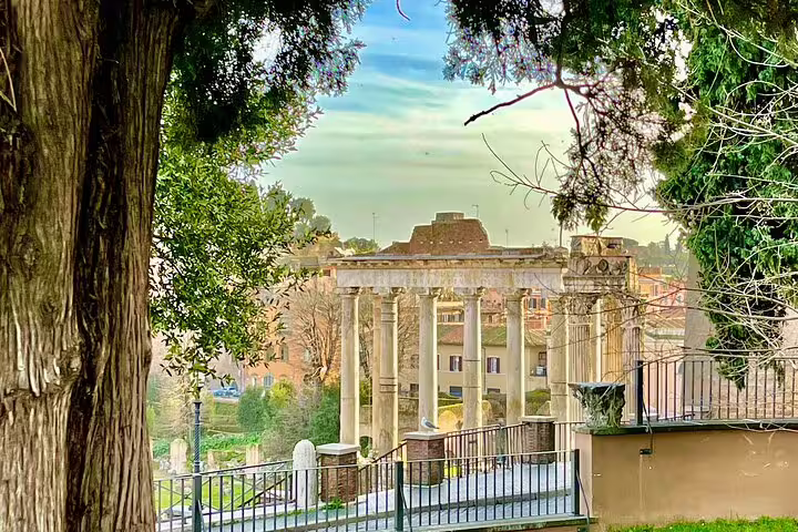Ancient Roman Forum temple ruins framed by trees from Palatine Hill terrace on Rome Colosseum and panoramic views tour