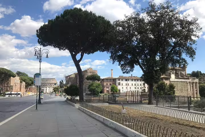 Tree-lined Via Sacra walkway with Colosseum and ancient Roman ruins visible in background, Rome Italy