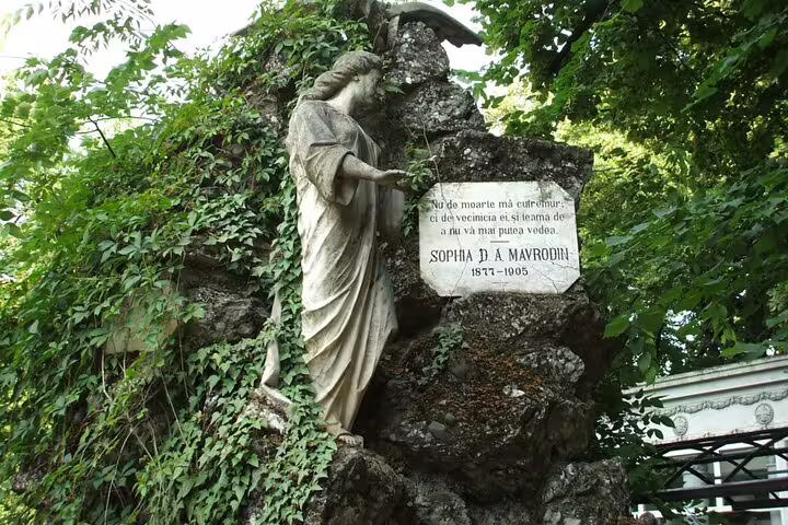 Angel statue on ivy-covered tomb of Sophia D.A. Mavrodin 1877-1905 at Bellu Cemetery Bucharest