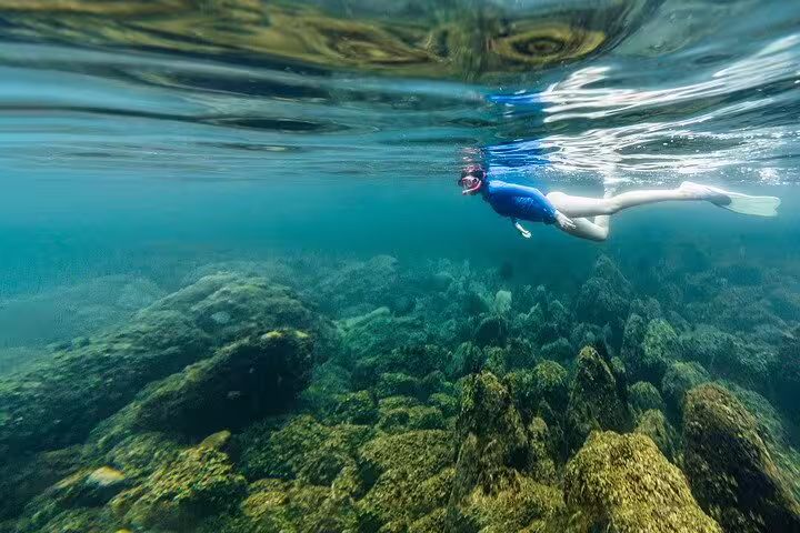 Snorkeler exploring vibrant underwater scenery on the Angra & Ilha Grande boat tour, surrounded by colorful marine life.