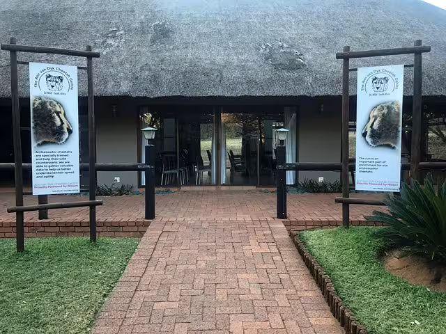 Cheetah tour