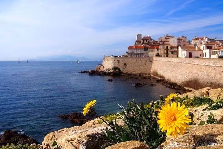Yellow flowers overlooking Antibes old town ramparts and Mediterranean Sea on French Riviera