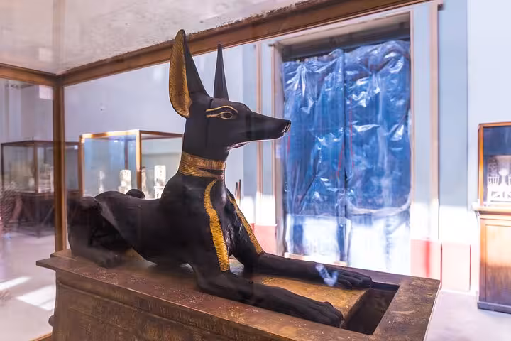 Anubis jackal statue at the Egyptian Museum Cairo, highlight of a private Giza and museum tour