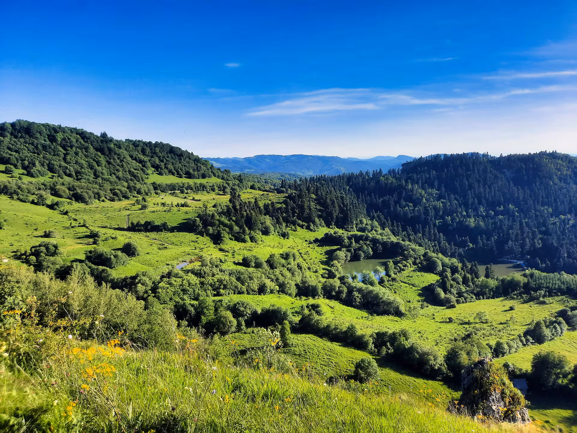 Lush green valley with winding river, forested hills, and blue sky in Apuseni Mountains, Romania
