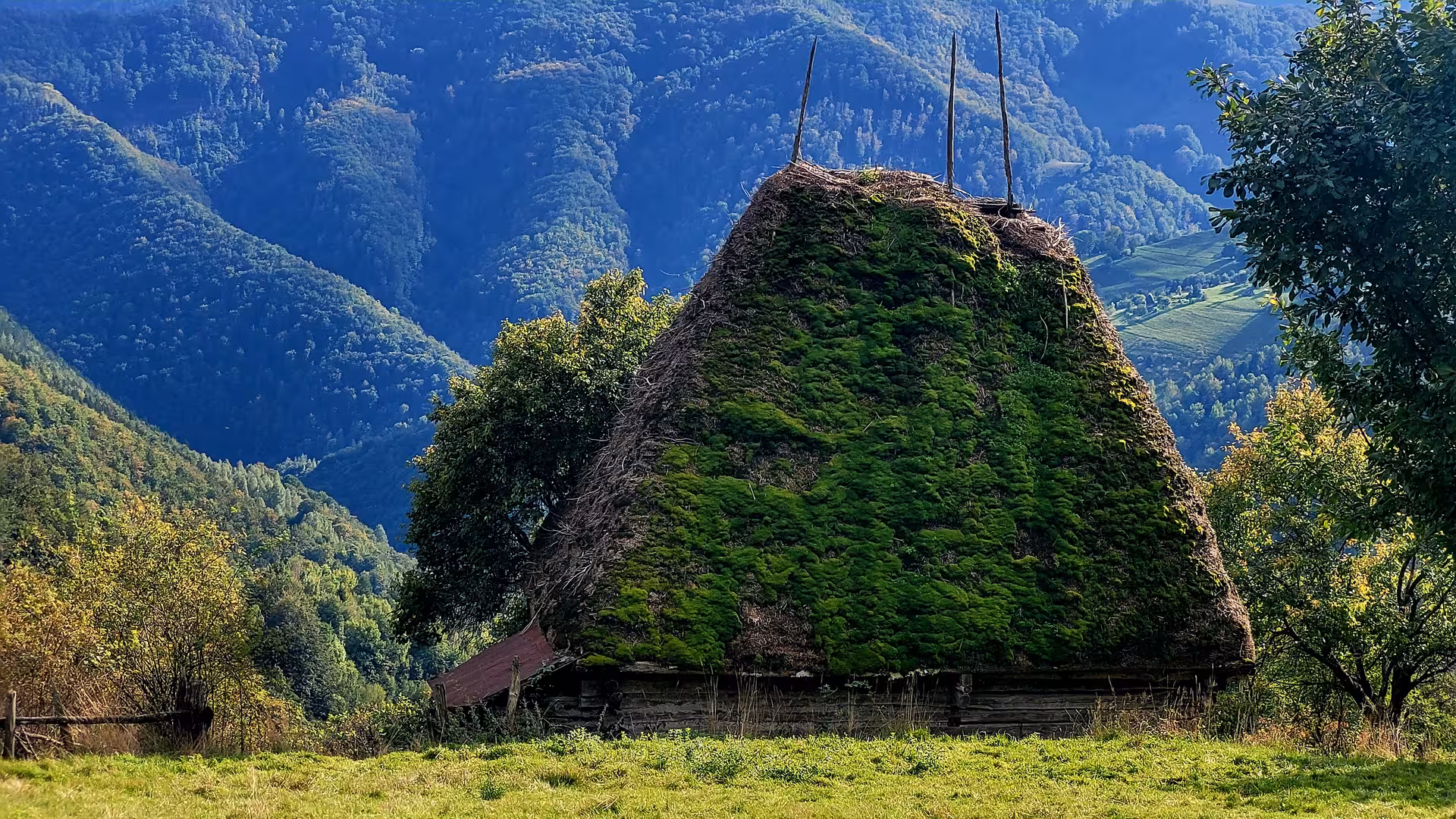 Moss-covered traditional haystack in Apuseni Mountains village with forested mountain backdrop