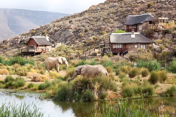 Elephants graze near rustic lodges at Aquila Game Reserve, highlighting the unique safari accommodations in South Africa.