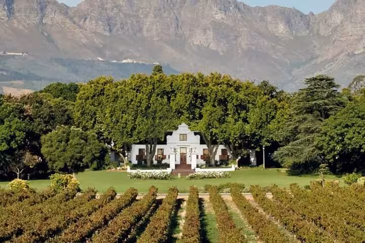 Charming vineyard estate with mountain backdrop at Aquila Game Reserve for safari and wine tasting tour.