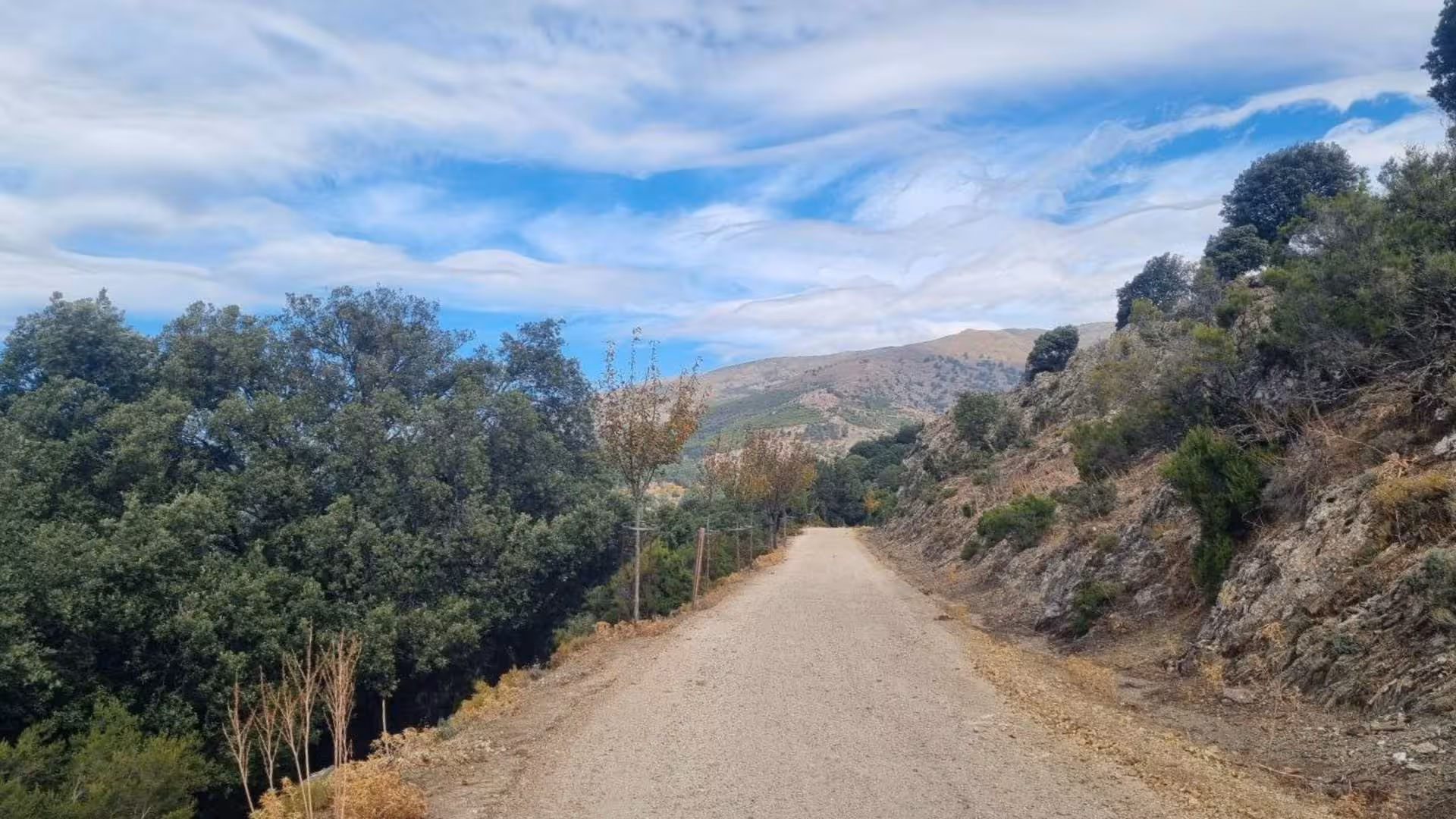Peaceful dirt road winding through lush greenery and hills in Barbagia's natural setting.