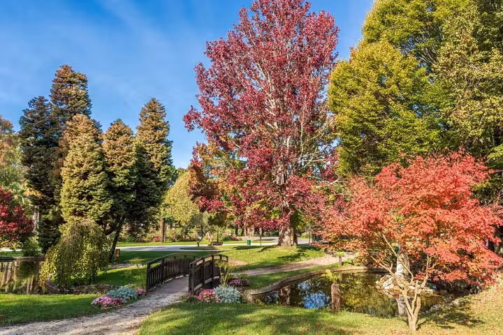 Colorful autumn trees and wooden bridge over a pond in a scenic Arcachon park