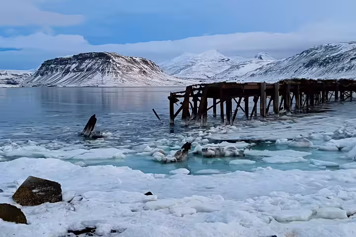Icy Arctic fjord with ruined wooden pier, snow-covered mountains in background, Iceland winter landscape