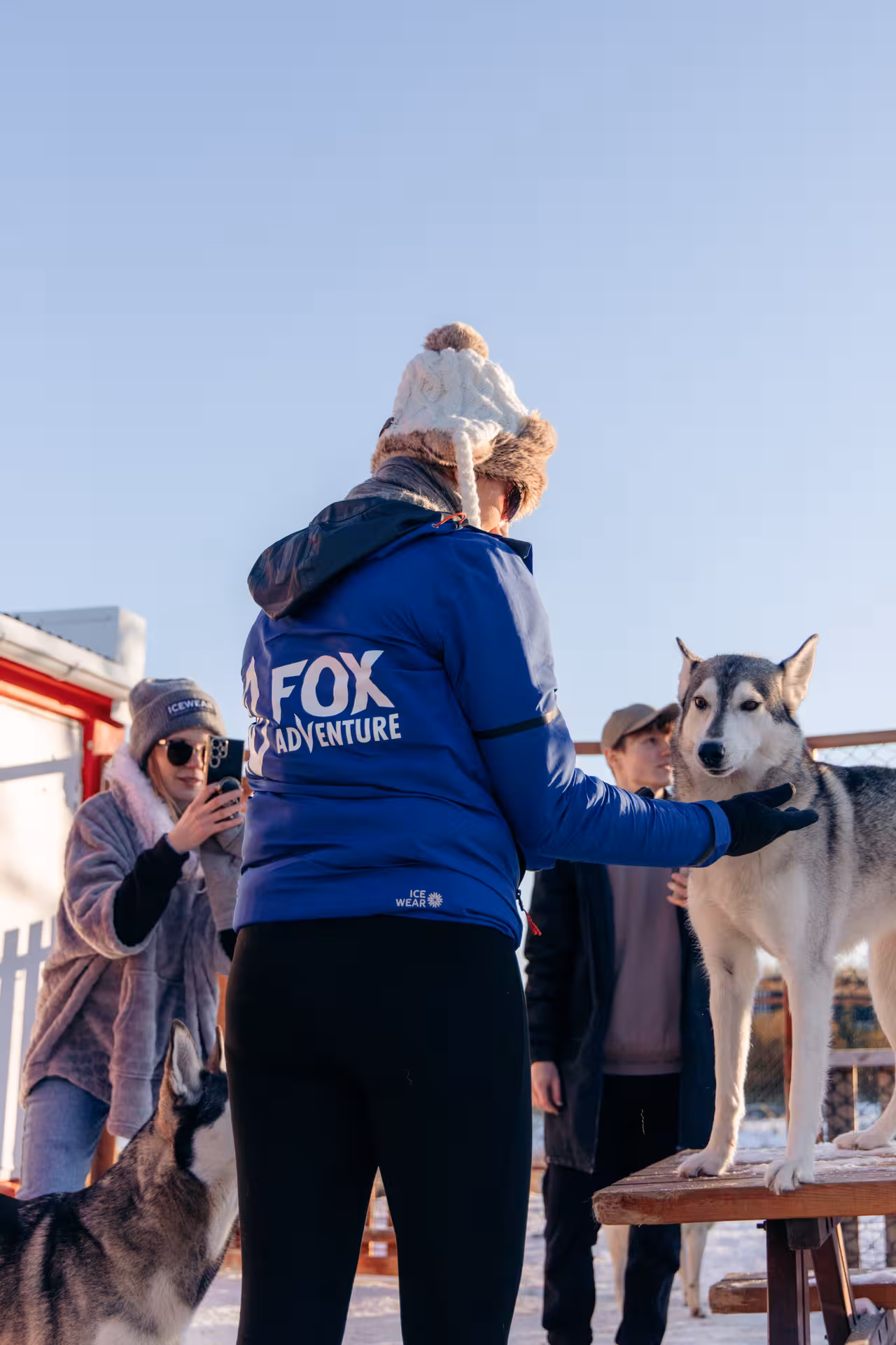 Guide meeting huskies at Arctic sled dog kennel, hands-on husky experience on the Aurora Borealis adventure tour