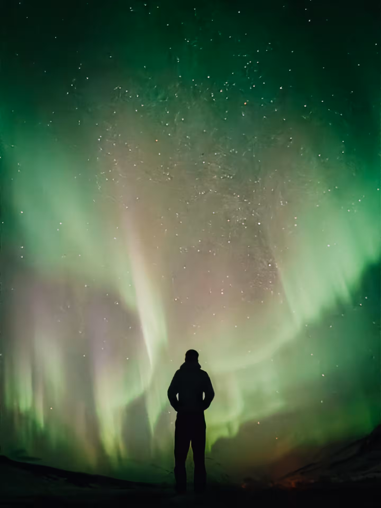 Traveler watching vivid green Northern Lights on Arctic Odyssey aurora tour under starry polar night sky