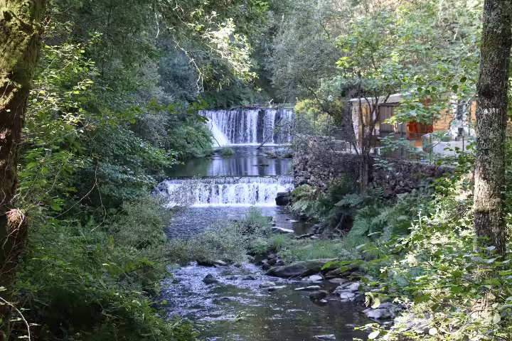 Scenic view of lush forest and cascading waterfall along the Paiva Walkways, a highlight of the Arouca 516 Bridge tour.