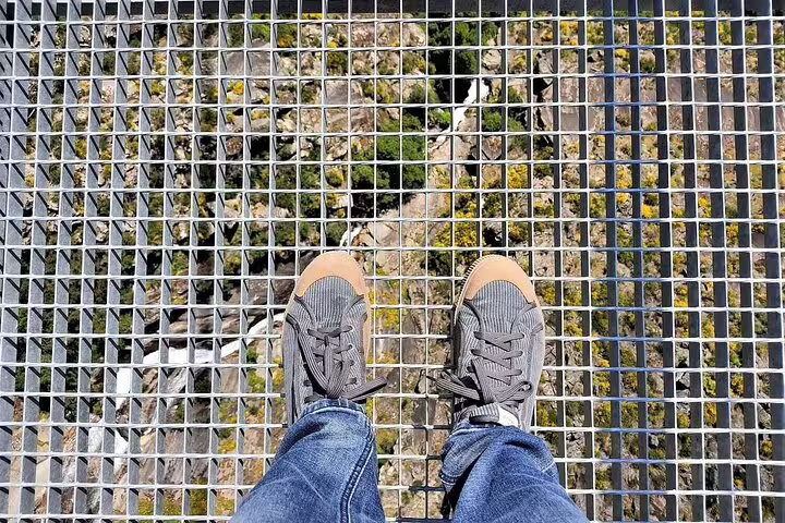 A person stands on the Arouca Suspension Bridge with a view of Paiva Walkways below, showcasing adventure and scenic beauty.