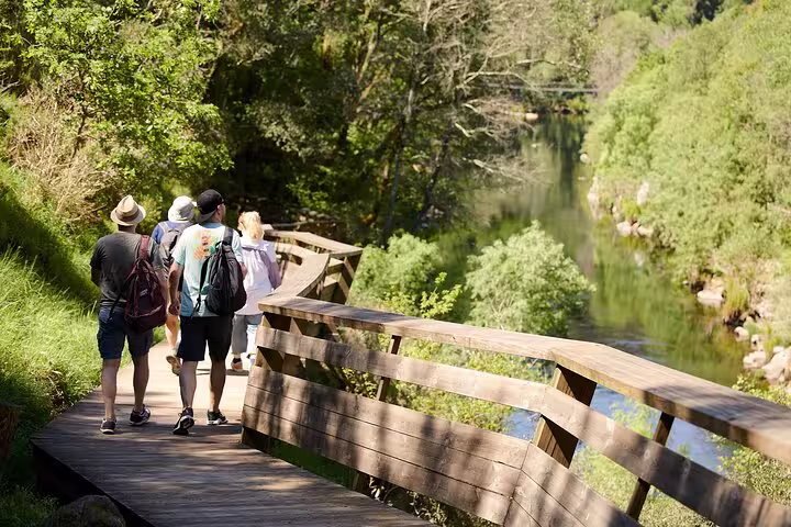 Group of visitors enjoying a scenic walk along the wooden pathways of the Paiva Walkways by a serene river.