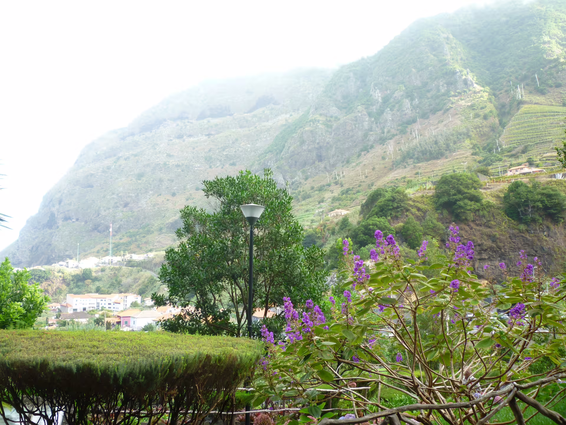 Scenic mountain view with blooming purple flowers and quaint village on the Around the Island Tour route.