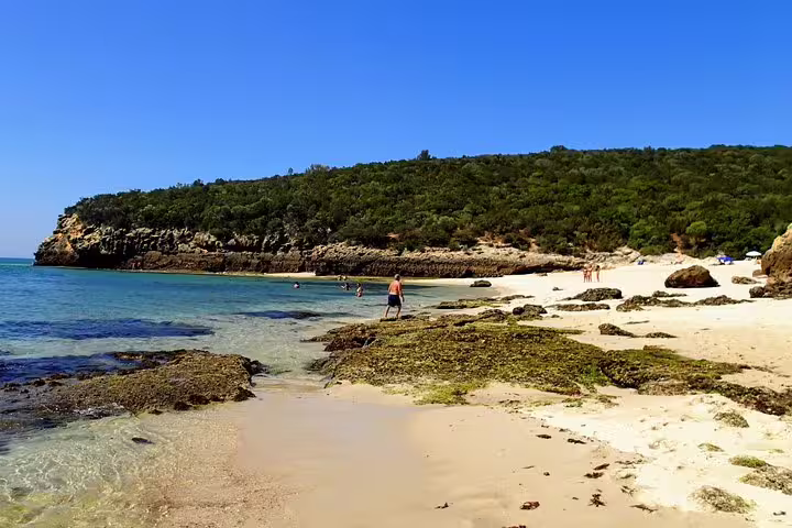 Scenic Arrábida beach with turquoise waters and lush greenery, perfect for snorkeling and enjoying the local wine tour experience.