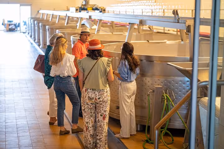 Group of tourists exploring a modern winery facility in Comporta on the Private Arrábida Wine Tour from Lisbon.