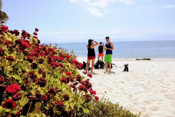 Tourists prepare for snorkeling on a scenic Arrábida beach, surrounded by vibrant flowers and clear blue waters.