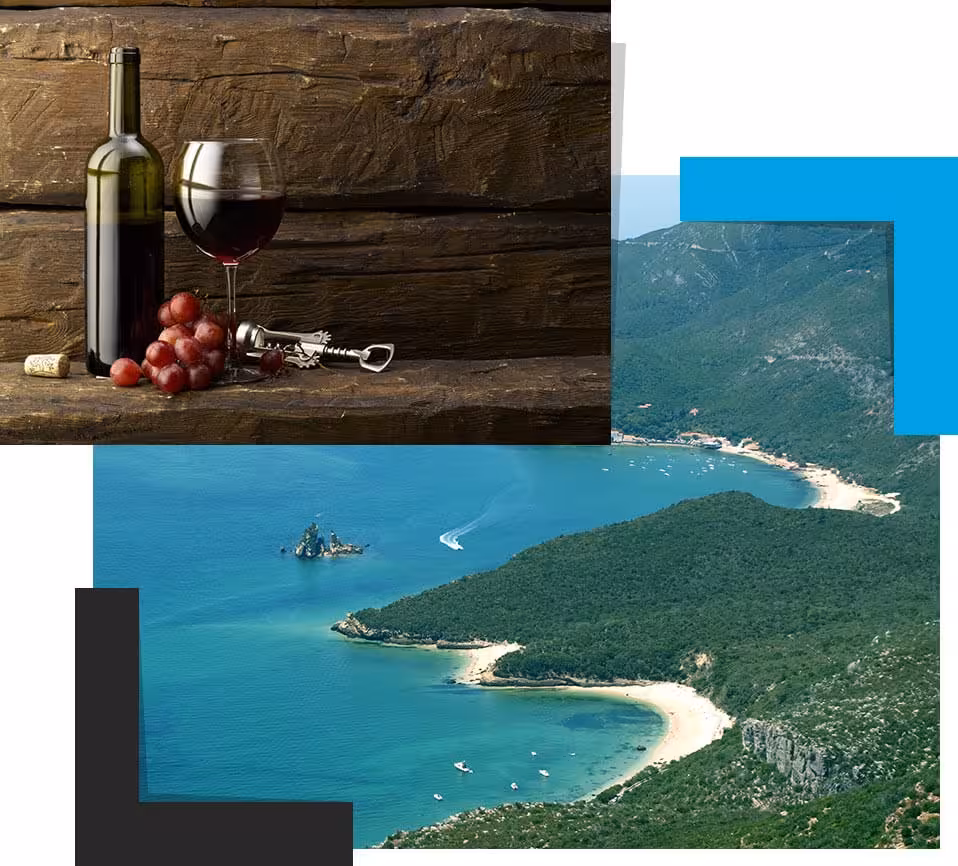 Arrábida wine tour and food tasting collage with Portuguese red wine and scenic coastline near Setúbal Peninsula