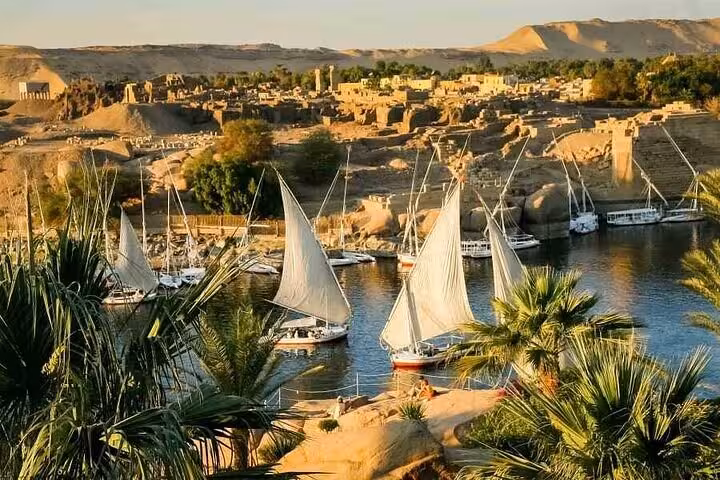 Felucca sailboats cruising the Nile in Aswan at sunset, scenic view from Botanical Garden tour