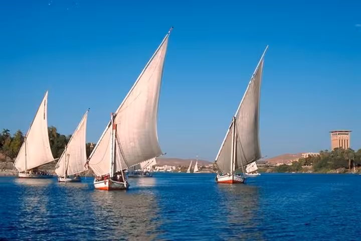 Traditional felucca sailboats cruising the Nile in Aswan, part of a Botanical Garden tour and sailing experience