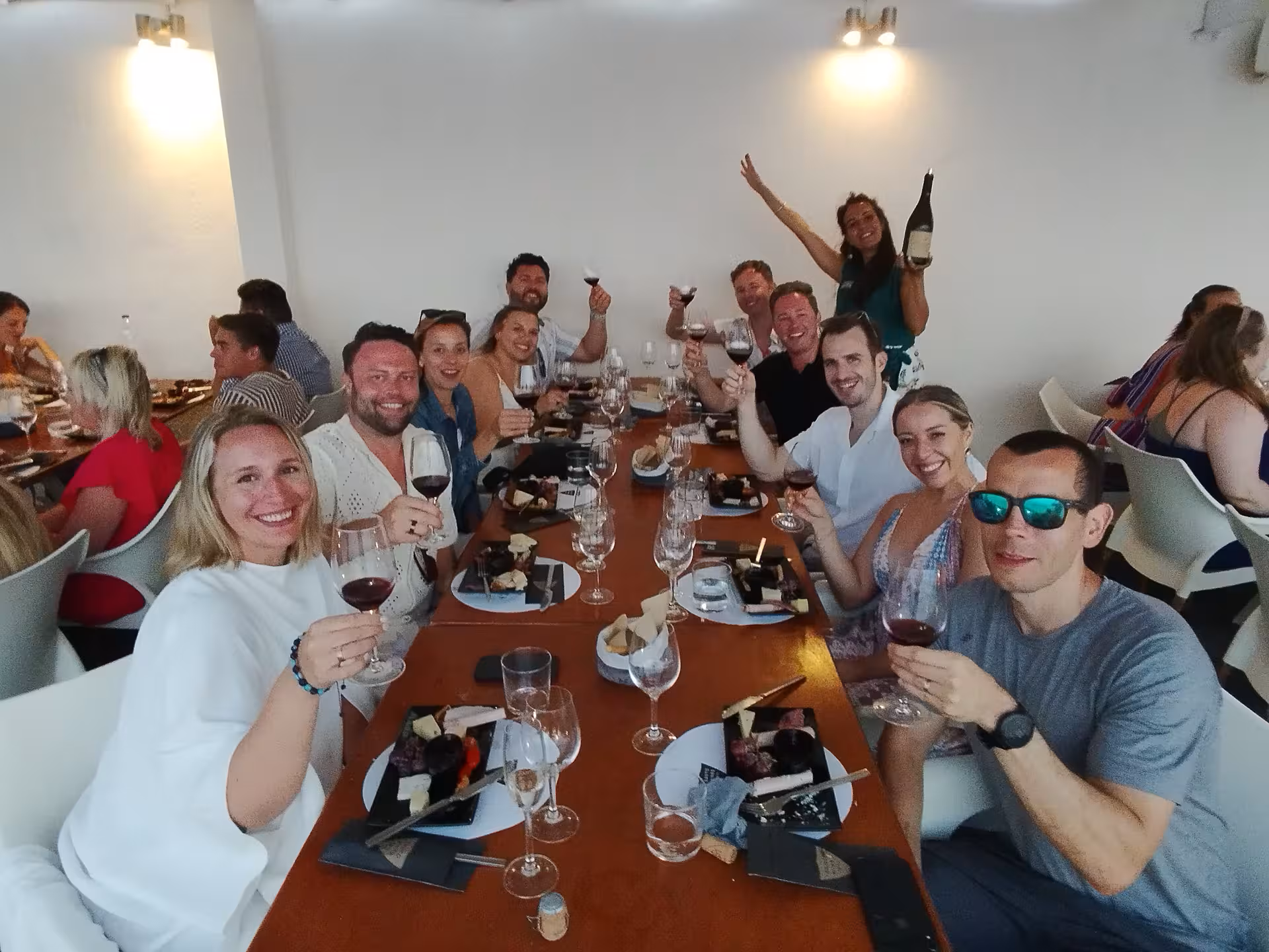 Group cheers with red wine and mezze plates on an Athens evening wine tour, enjoying Greek wine tasting