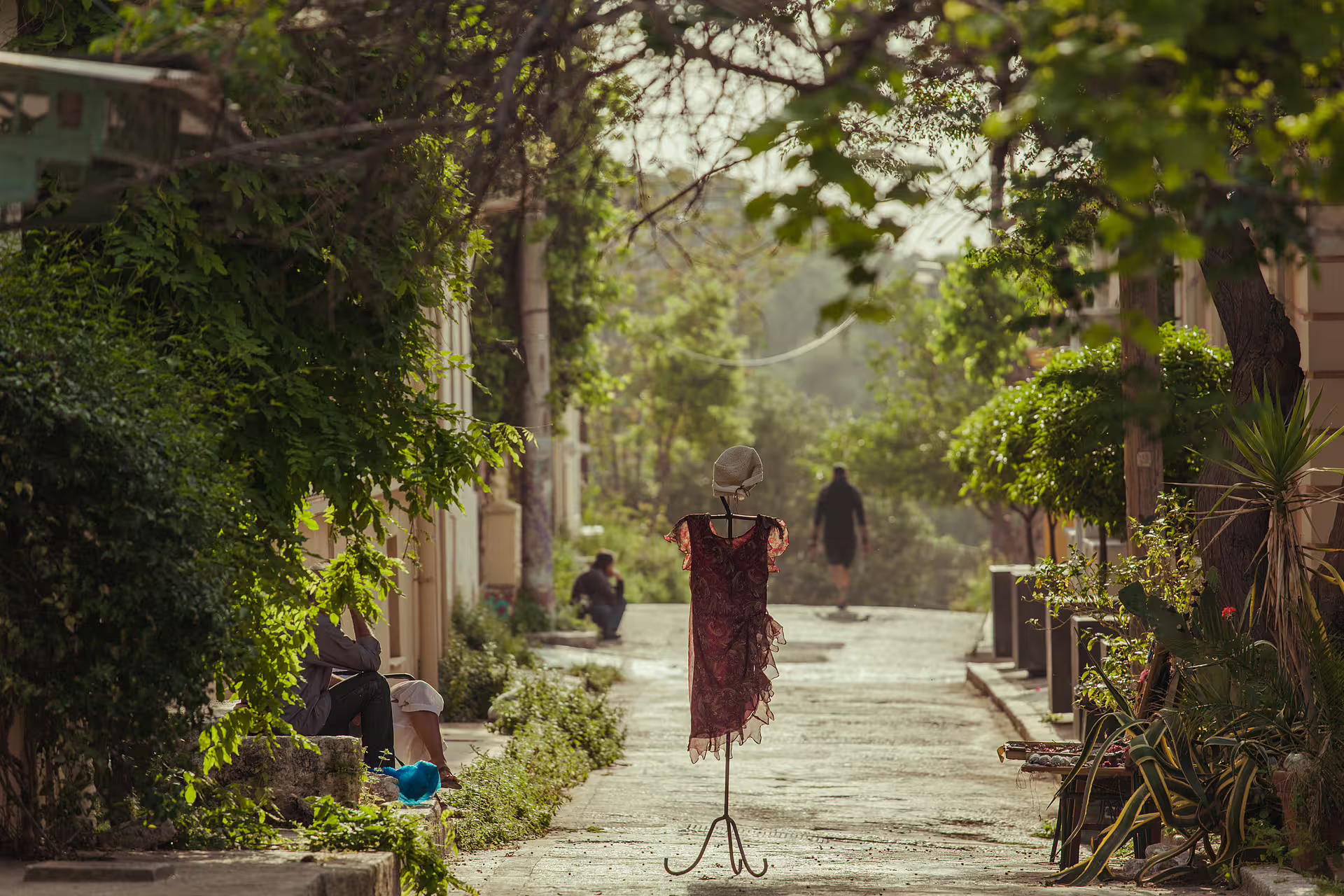 Leafy Plaka backstreet in Athens with local stalls, featured on small group sightseeing tour including Acropolis tickets
