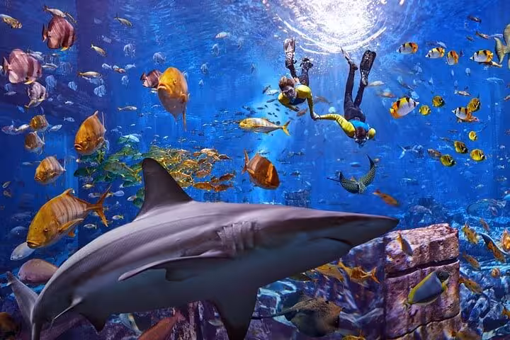 Shark and colorful fish with divers in Atlantis Lost Chambers Aquarium Dubai, underwater ruins experience
