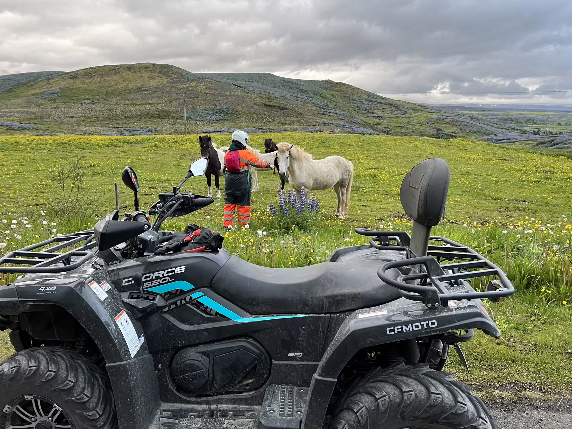Person in safety gear petting Icelandic horses beside a CFMOTO ATV on a green Iceland hillside